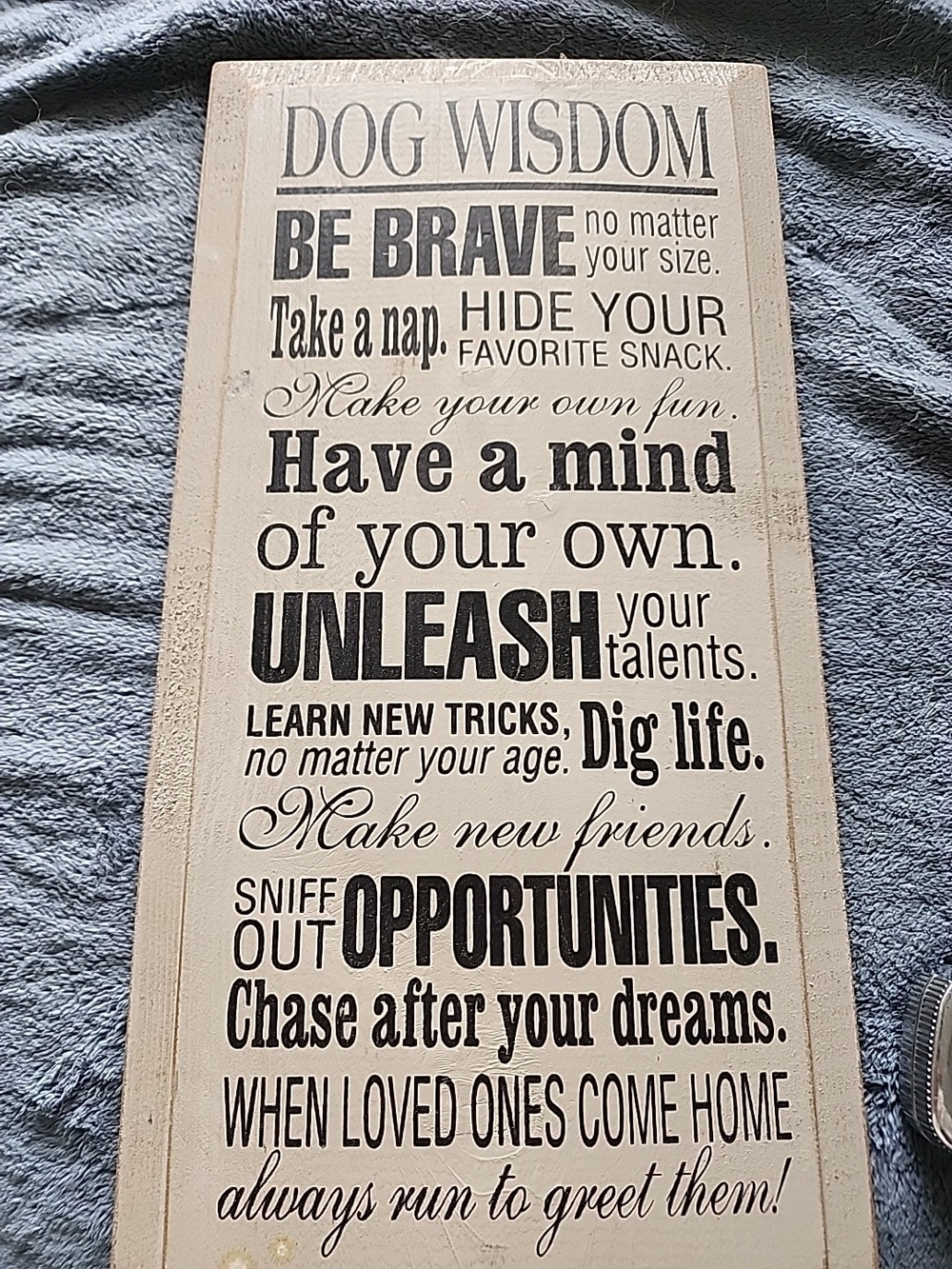 Dog Wisdom Wall Sign - Black Text on Cream Board